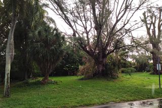 40 59 Coquina