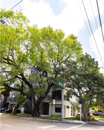 7105 NE 4th Ct Unit 3 Miami, FL Townhouse Active - Photo 1 of 55. Opens carousel modal