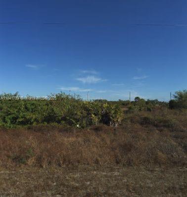 745 Alamo Street E Lehigh Acres, FL Plot of land Active - Photo 1 of 1. Opens carousel modal