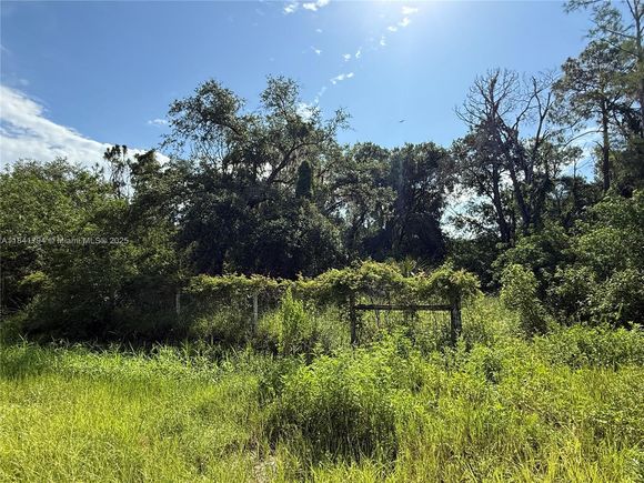 865 N Jinete St Clewiston, FL Plot of land Active - Photo 1 of 12. Opens carousel modal