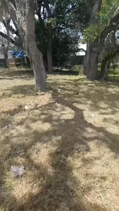 2118 Steiner Ave Sebring, FL Land Active - Photo 1 of 1. Opens carousel modal