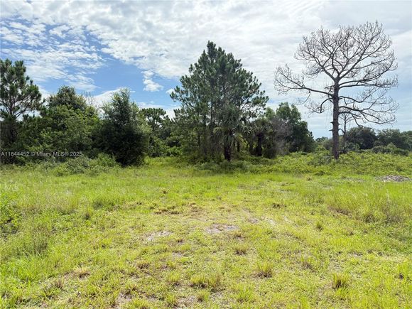 375 N Olivo St Clewiston, FL Land Active - Photo 1 of 15. Opens carousel modal