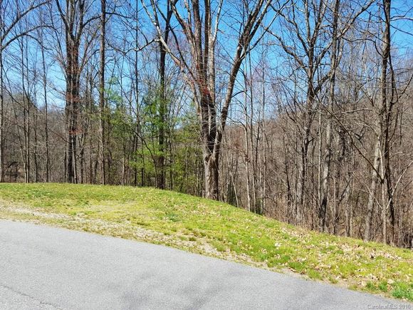 11 Rambling Ridge Road Unit 5 Asheville, NC Plot of land Sold - Photo 1 of 1. Opens carousel modal
