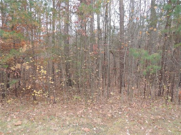 6231 Twining Vine Court Kannapolis, NC Plot of land Sold - Photo 1 of 1. Opens carousel modal
