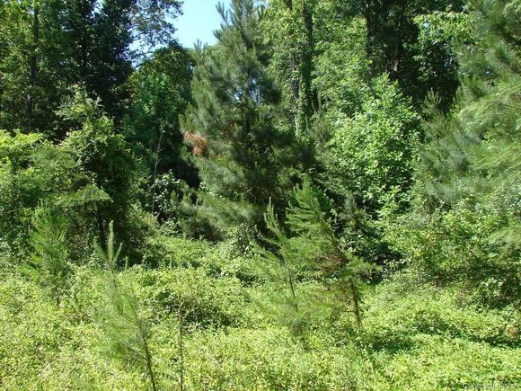 Lot 8, 9 & 10 Primrose Drive Salisbury, NC Plot of land Sold - Photo 1 of 1. Opens carousel modal