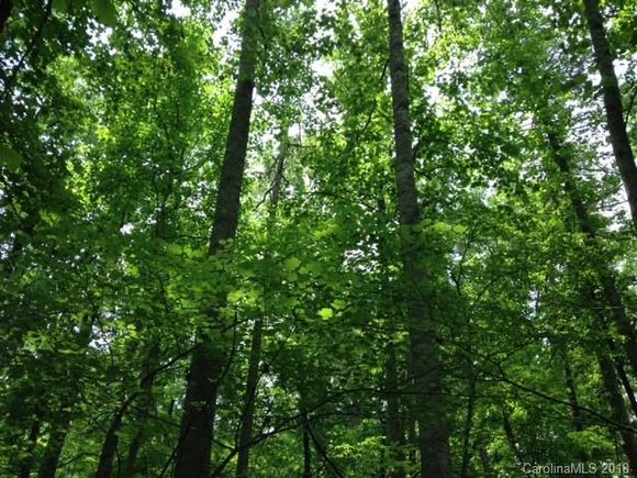 0 Red Leaf Lane China Grove, NC Plot of land Sold - Photo 1 of 1. Opens carousel modal