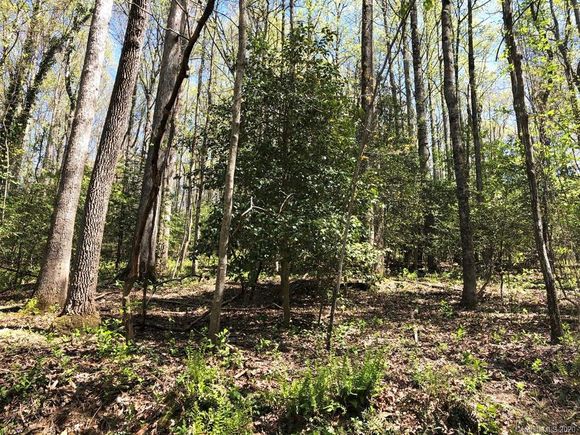 99999 Southwicke Drive Arden, NC Plot of land Sold - Photo 1 of 1. Opens carousel modal