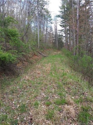Lot 18 Trout Lily Trail