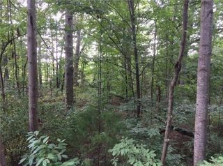 0000 Hollow Road