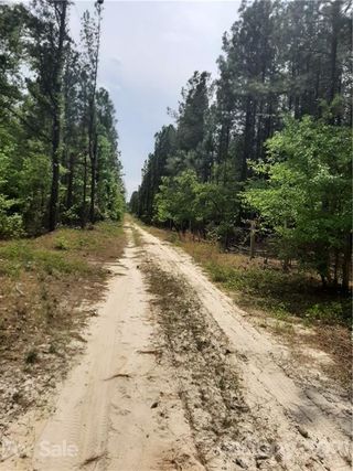 2377 Camp Road