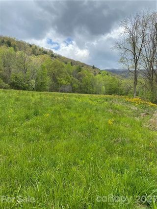 147 Woolyshot Branch Road