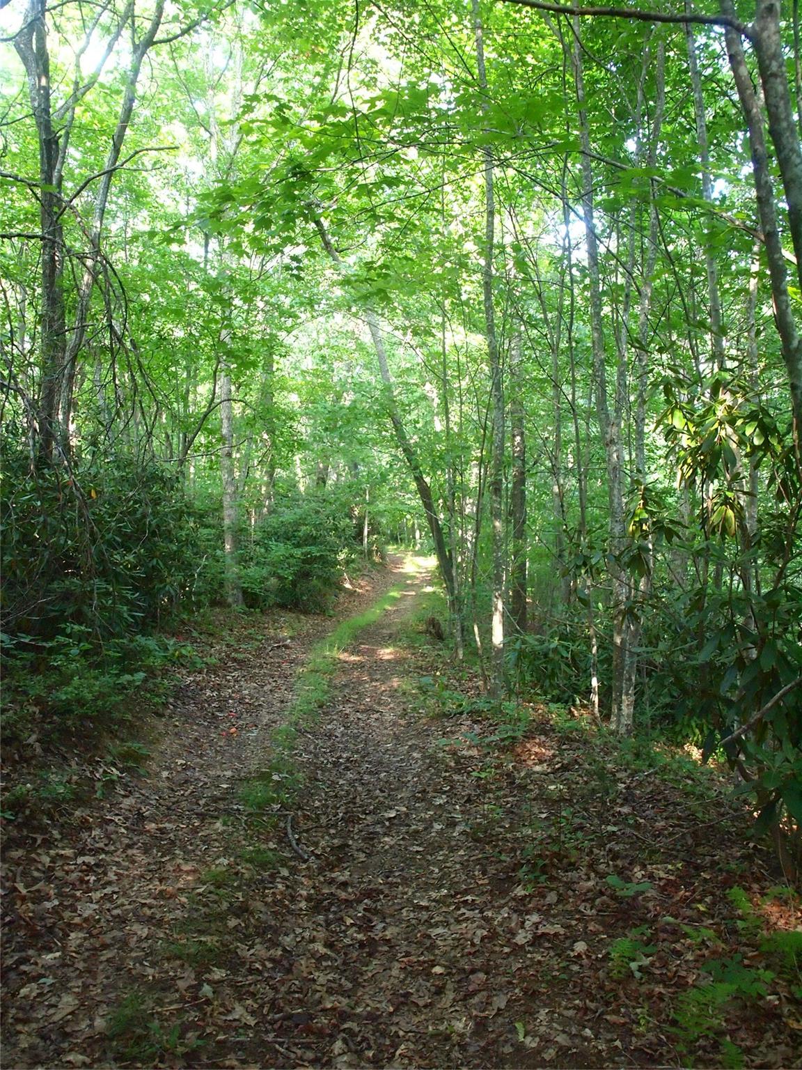 000000 Dads Retreat Trl Unit 6