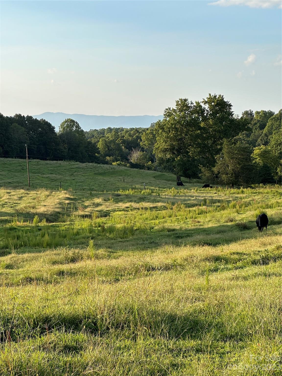 0 Stagecoach Trl Trl