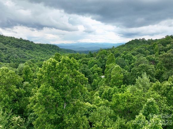 150 Thistlewynd Trail Laurel Park, NC Plot of land Active - Photo 1 of 7. Opens carousel modal