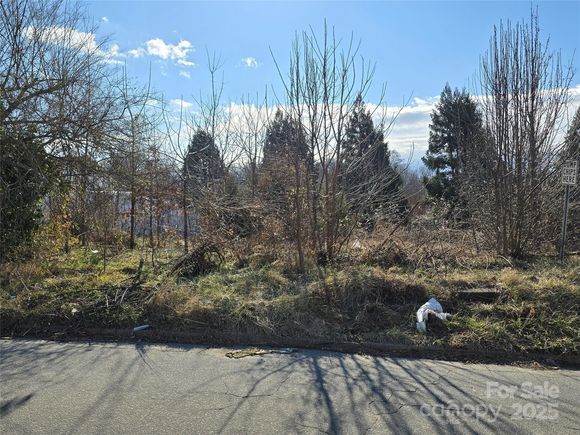 206 Prospect Street NW Lenoir, NC Plot of land Sold - Photo 1 of 1. Opens carousel modal