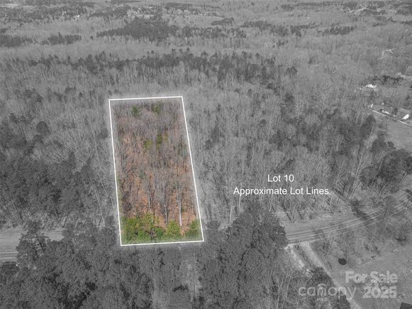 00 Forney Hill Road Unit 10 Denver, NC Plot of land Active - Photo 1 of 8. Opens carousel modal