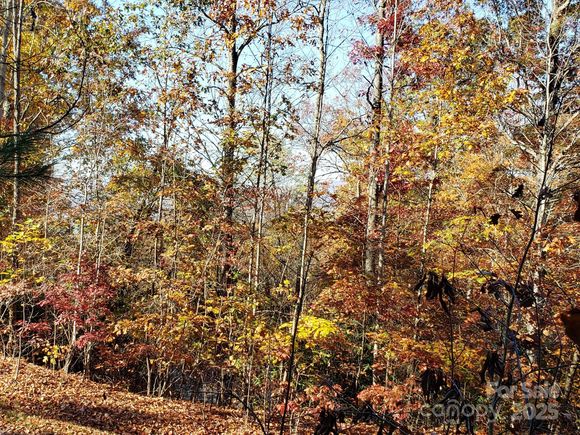 Tbd Top Oaks Lane Unit Lot 58 Pisgah Forest, NC Plot of land Active - Photo 1 of 14. Opens carousel modal
