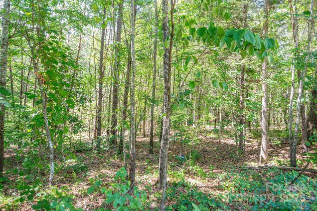Lot # 16 Meadow Crossing Drive Rutherfordton, NC Plot of land Active - Photo 1 of 13. Opens carousel modal