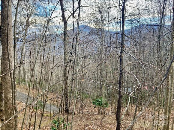 402 Loveland Road Unit 4 Maggie Valley, NC Plot of land Active - Photo 1 of 19. Opens carousel modal