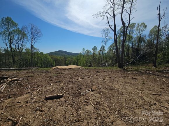 620 Dancing Bear Drive Unit 195 Hendersonville, NC Plot of land Active - Photo 1 of 1. Opens carousel modal