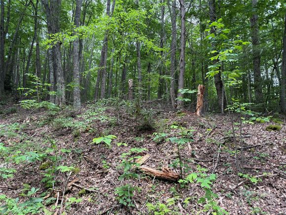 Tbd Red Clover Road Beech Mountain, NC Plot of land Active - Photo 1 of 37. Opens carousel modal