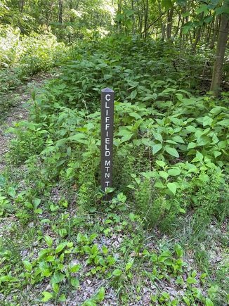 0 Cherry Hill None Unit 202 Mill Spring, NC Plot of land Active - Photo 1 of 4. Opens carousel modal