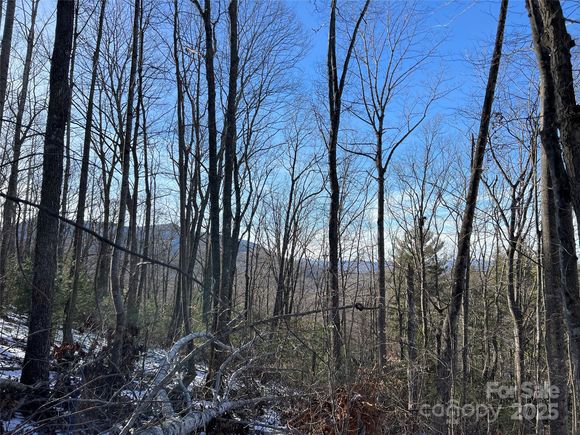 Tbd (Lot 8) Woodland Ridge Lansing, NC Land Active - Photo 1 of 11. Opens carousel modal