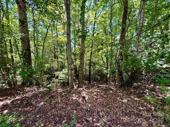 0 Laurel Forest Drive Hendersonville, NC Plot of land Active - Photo 1 of 7. Opens carousel modal