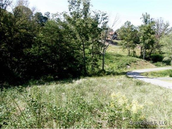 Lot #12 Magnolia Farms Drive Unit 12 Asheville, NC Plot of land Sold - Photo 1 of 1. Opens carousel modal