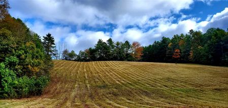 714-B Beaver Meadow