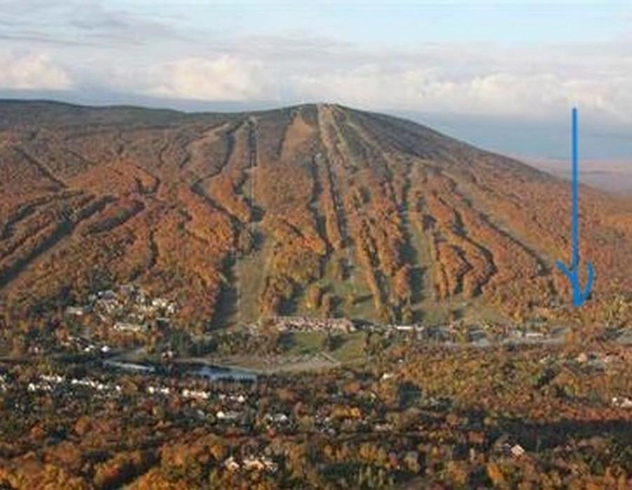 8 B Freestyle Unit 6  