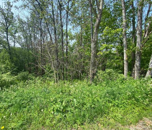 00 Wallace Hill Randolph, VT Plot of land Sold - Photo 1 of 10. Opens carousel modal