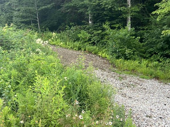 Juniper Hill Stoddard, NH Plot of land Active - Photo 1 of 1. Opens carousel modal
