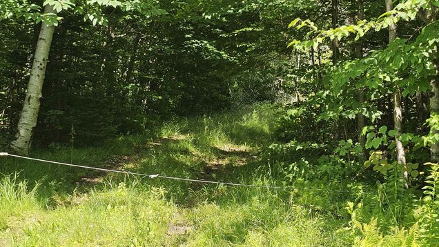 1718 Brown Schoolhouse Reading, VT Plot of land Active - Photo 1 of 7. Opens carousel modal