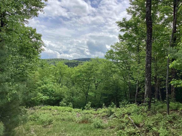 Lot 1 Pegwood Campton, NH Plot of land Active - Photo 1 of 9. Opens carousel modal