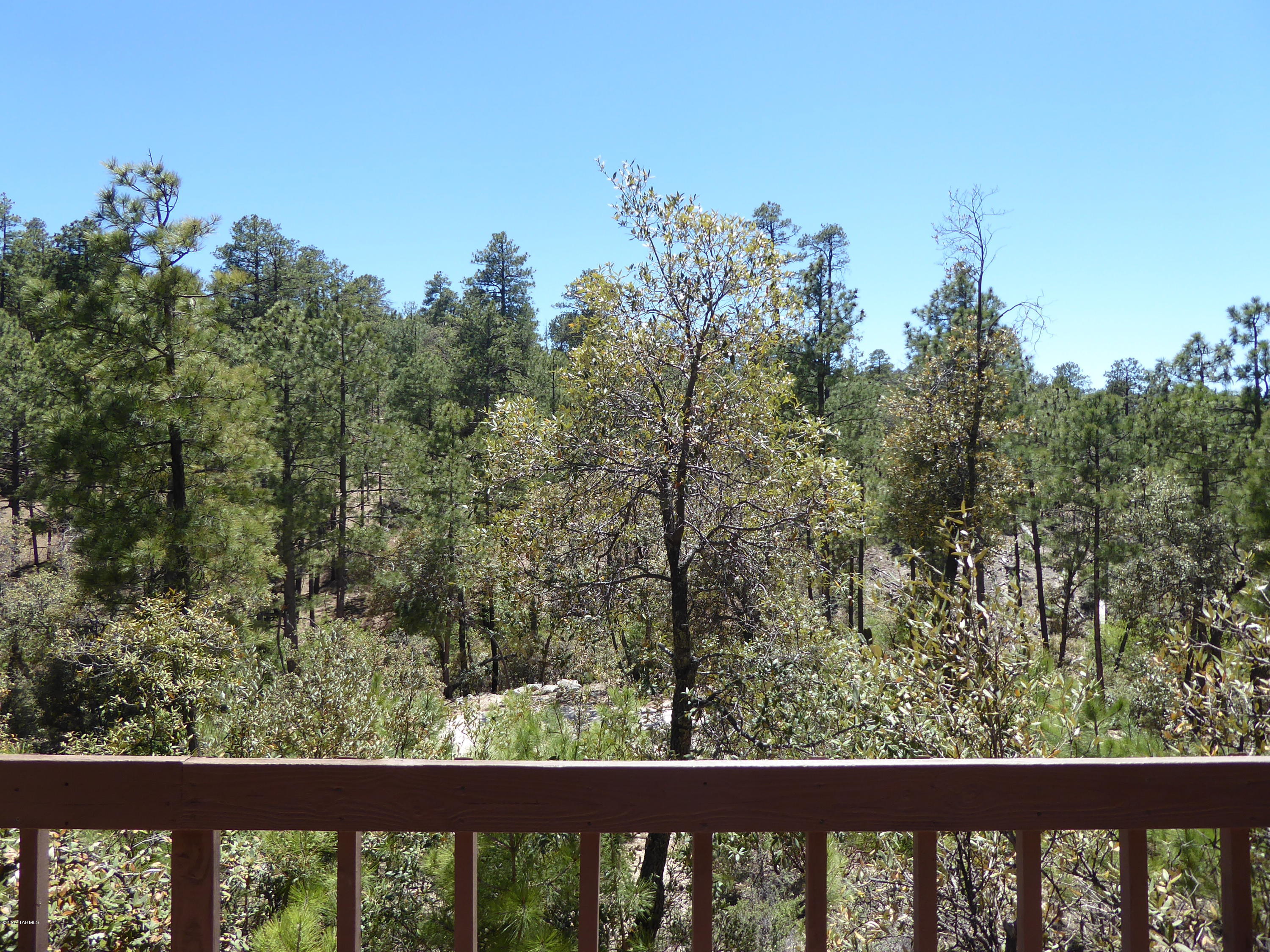 9819 N Willow Canyon, Mt. Lemmon, AZ 85619 Estately 🧡 MLS 21711808