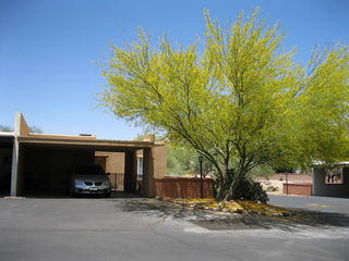 724 W Rio San Pedro