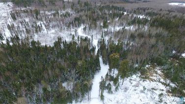 xx40 Diamond Match Logging Road