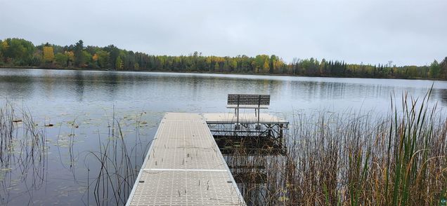 64751 Pickerel Lake Rd Effie, MN Plot of land Sold - Photo 1 of 30. Opens carousel modal
