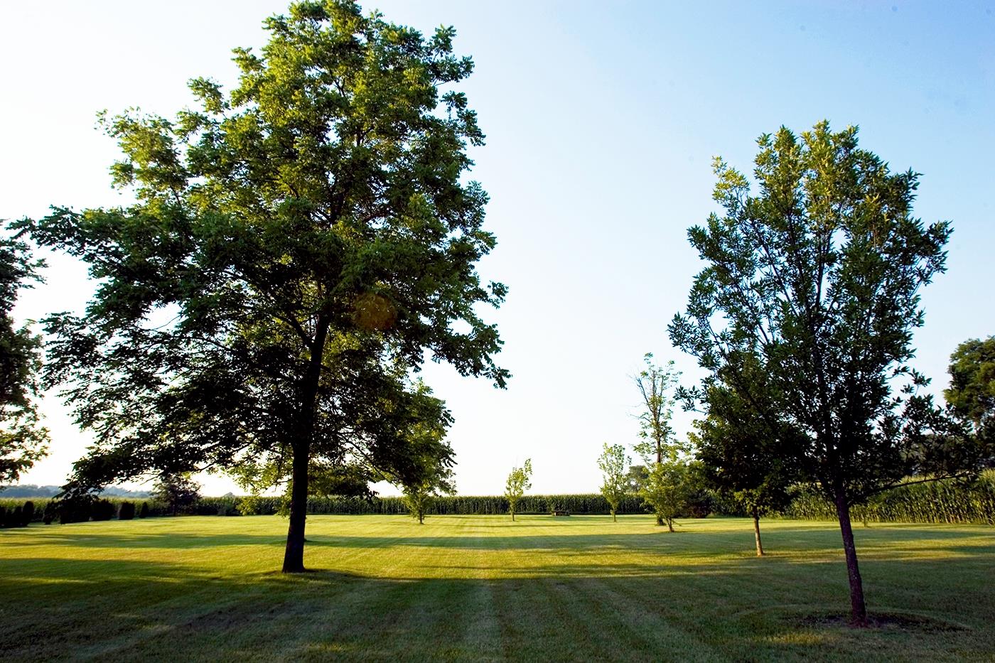 8660 Allensville Rd, Allensville, KY 42204 Estately 🧡 MLS 1729714