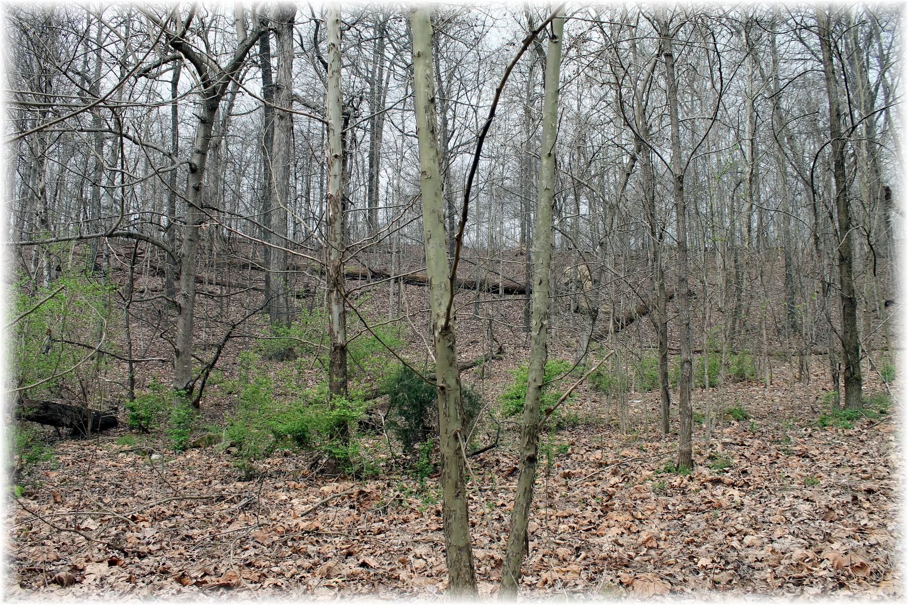 8000 Old Harding Pike