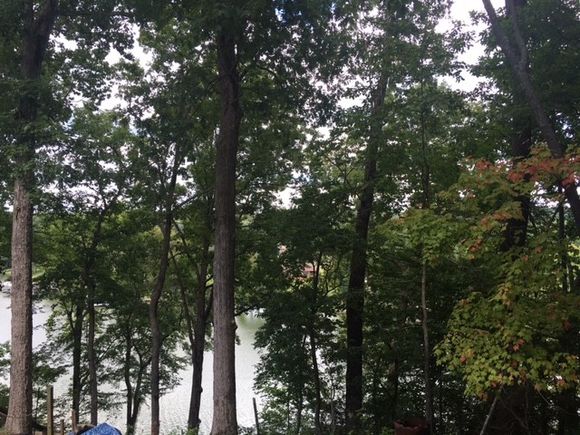 13 B J Landing S Estill Springs, TN Plot of land Sold - Photo 1 of 2. Opens carousel modal