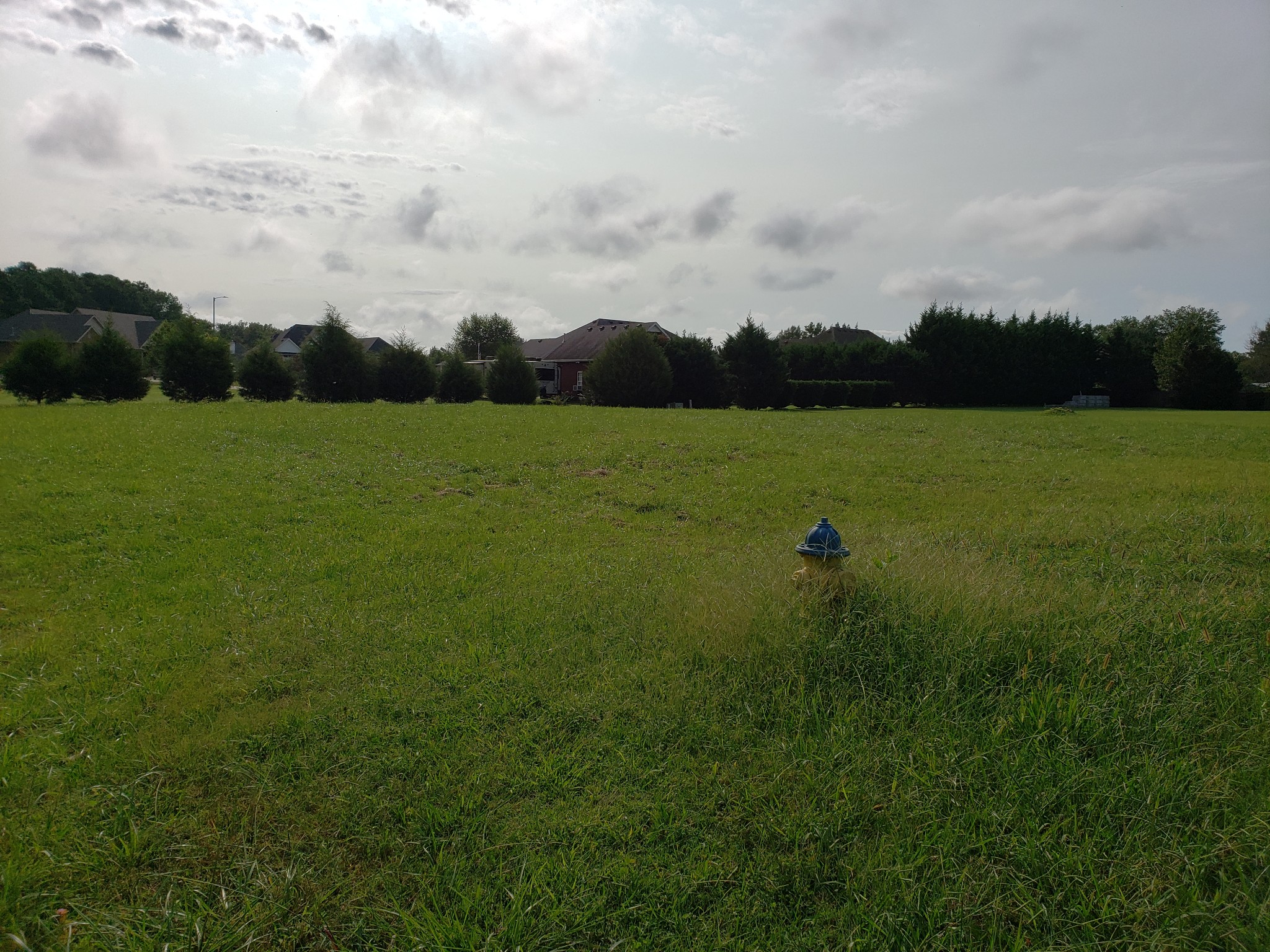 223 Turkey Creek Rd, Tullahoma, TN 37388 Estately 🧡 MLS 2189109