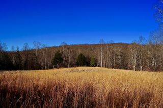 1 Hills Creek Rd
