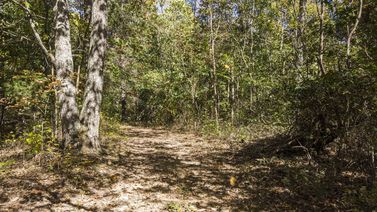 0 Bull Run Rd