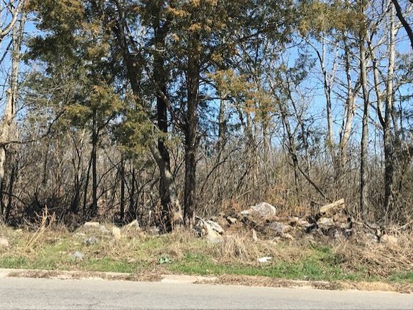 338 Rio Vista Dr Madison, TN Plot of land Sold - Photo 1 of 6. Opens carousel modal