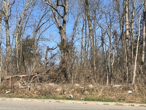 342 Rio Vista Dr Madison, TN Plot of land Sold - Photo 1 of 6. Opens carousel modal