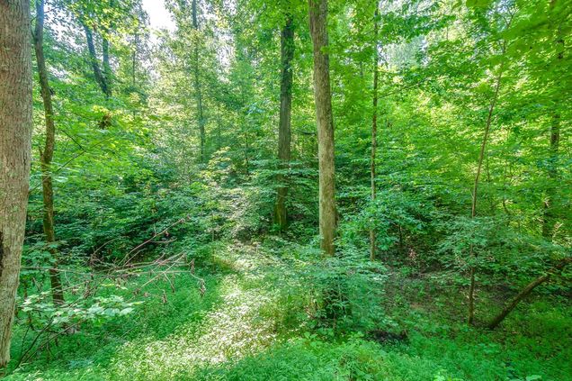 0 Baptist Branch E Of Mount Pleasant, TN Plot of land Sold - Photo 1 of 11. Opens carousel modal