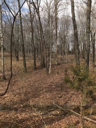 7147 Douglas Rd
