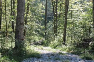 0 Cobb Hollow Rd